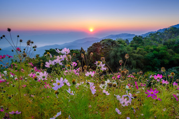 View point from Doi Mae Taman mountain on morning, Chiangmai, Thailand