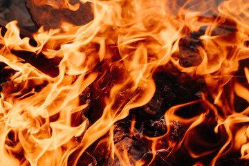 Fototapeta premium Closeup shot of the fire on black background