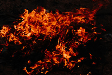 Closeup shot of the fire on black background