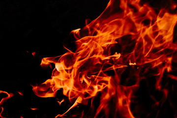 Fototapeta na wymiar Closeup shot of the fire on black background