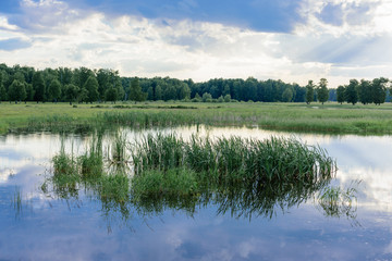 Waterlogged meadows from the river that exited the riverbed onto the field.