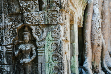 Ta Prohm, Angkor, Siem Reap, Cambodia in 2019