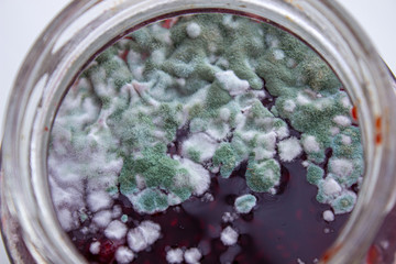 Mold in a jar of jam. Hazardous to health. Mold.