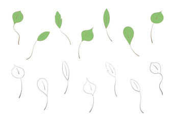 Set of leaves of different shapes, two design options