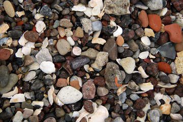 mix of pebbles and shells on the beach