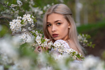 Fototapeta premium beautiful blonde girl in spring cherry garden