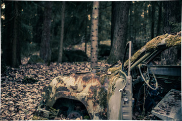 Abandoned car in a forest