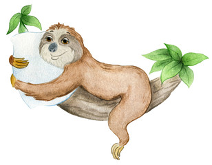 watercolor illustration of a cute sloth sleeping on a branch hugging a pillow © Viktoriya