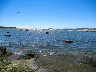 Sea coast landscape with a flying sseagull and clear blue sky.