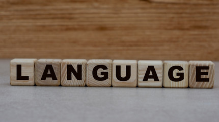 concept word language on cubes on a wooden background
