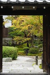秋に向かって色づき始めた圓光寺の庭