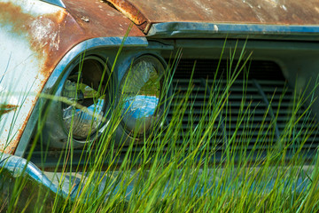 Broken Headlights on an Abandoned Car in the Grass