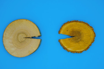 Two round sections of different trees with annual rings on a blue background in Ukraine.