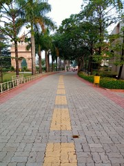 Fototapeta premium road view