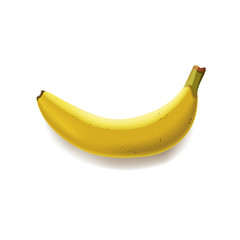 Realistic image of ripe banana isolated on a white background. Vector illustration for design of a label, advertisement, banner.