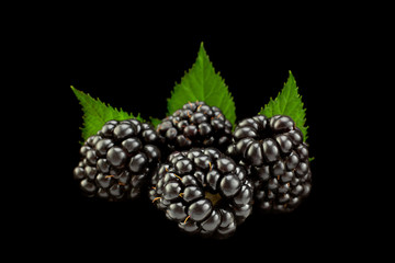 Blackberry berry with leaf