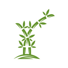Fototapeta na wymiar Bamboo logo template. Green bamboo trees vector design. Bamboo stem logotype