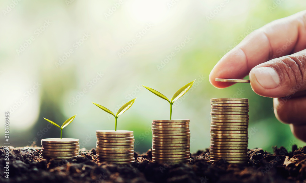 Poster hand putting money on stack with small tree growing step in coins. concept finance and accounting