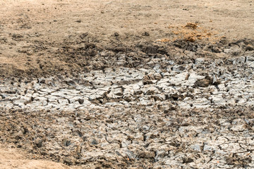 dry waterhole Africa nature