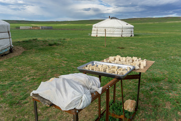 Mongolian gurt from sour milk drying