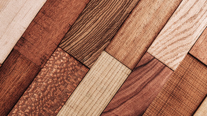 Set of exotic valuable wood for the catalog, texture and structure of the material