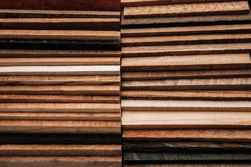 Set of exotic valuable wood for the catalog, texture and structure of the material