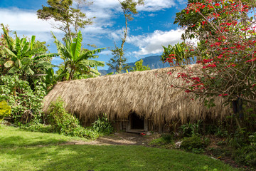 Fototapeta na wymiar Aboriginal thatched roof hut is a typical abode of the indigenous population of Papua New Guinea.The hut is an open styled home to allow the cool breeze and fresh air to come inside.