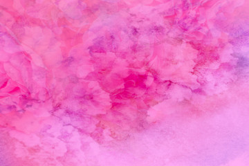 Fototapeta premium Beautiful abstract color orange purple and pink flowers on white background and white flower frame and pink leaves texture, light pink background, colorful pink banner happy valentine