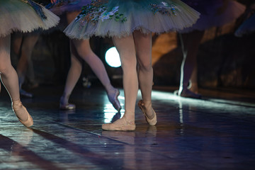 Don Quixote ballet. Closeup of ballerinas dancing © Ruslan