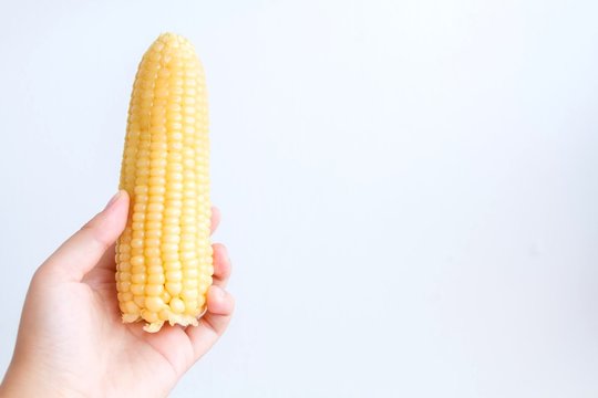 Cropped Image Of Hand Holding Corn Against White Background