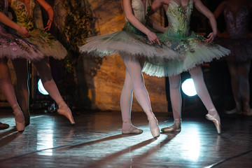 Don Quixote ballet. Closeup of ballerinas dancing © Ruslan