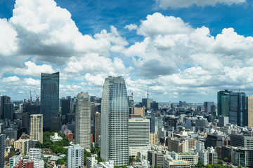 Obraz premium Aerial View of Tokyo from Tokyo Tower. Tokyo Tower has two observation deck at 150 m. and 250 m.