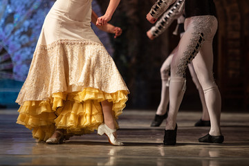 Don Quixote ballet. Closeup of ballerinas dancing © Ruslan