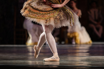 Don Quixote ballet. Closeup of ballerinas dancing © Ruslan