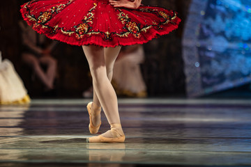 Don Quixote ballet. Closeup of ballerinas dancing © Ruslan