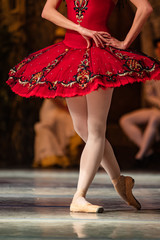 Don Quixote ballet. Closeup of ballerinas dancing © Ruslan