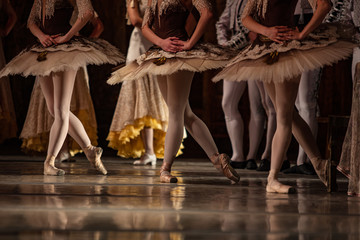 Don Quixote ballet. Closeup of ballerinas dancing © Ruslan