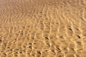Sand beach texture. Wet sandy beach background