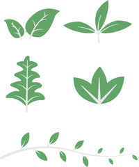Green Leaf Icon Flat Design.