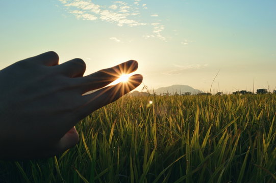 Optical Illusion Of Fingers Holding Sun Over Agricultural Field Against Sky