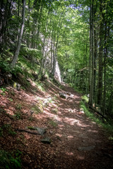 Fototapeta premium Góry Abetone