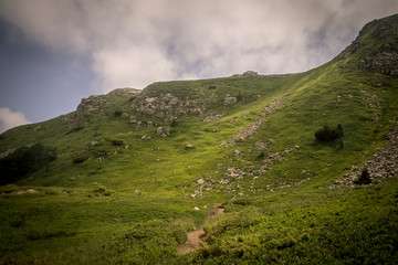 Fototapeta premium Abetone Mountains