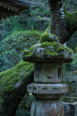 Japanese lantern covered with green moss and tree