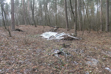 trash in the forest