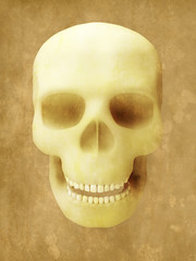 skull scary parchment old paper