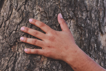 Man touch tree trunk, love and care tree.Environment day.care nature save environment concept.