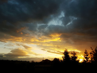 Dark silhouette of trees and cousins against the background of an orange sunset. Evening nature folds to a romantic mood. Warm colors. The region of the temperate climate of the European continent