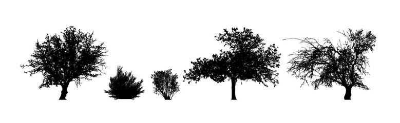 Vector silhouette of set of trees on white background. Symbol of nature and plant.