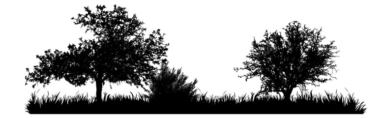 Vector silhouette of meadow with tree on white background. Symbol of nature with grass.