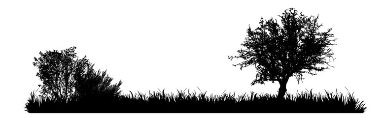 Vector silhouette of meadow with tree on white background. Symbol of nature with grass.
